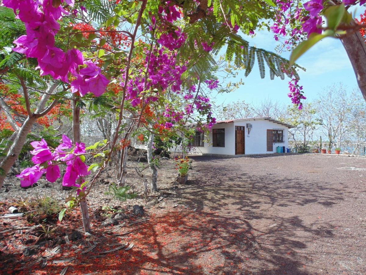 Casa Verde Vacation Garden Home Сан-Крістобаль Екстер'єр фото